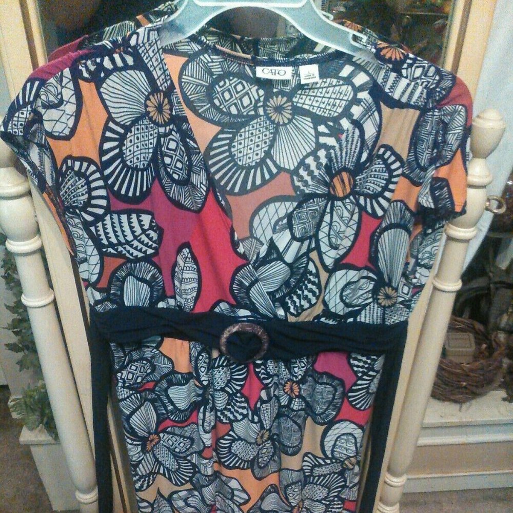 LN Cato Sz L Women Blouse Dress